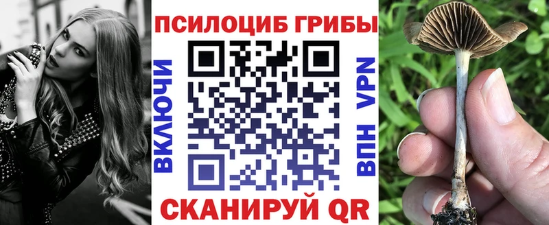 купить закладку Южноуральск Псилоцибиновые грибы ЛСД